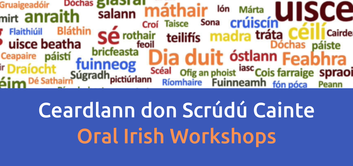 SnaG-Oral-Irish-Workshop-Cootehill-4
