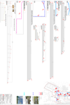 CSC MCA XX XX DR A 8001 Proposed Plans & Elevations Retaining Wall Sheet 1 of 2 thumbnail