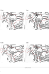 19030.PP.403 Sunpath Analysis Sheet 2 thumbnail