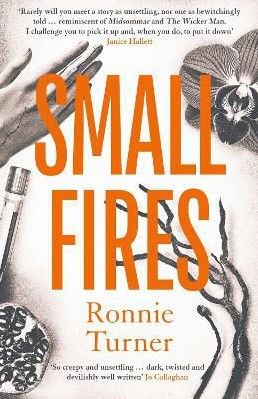 Small Fires summary image